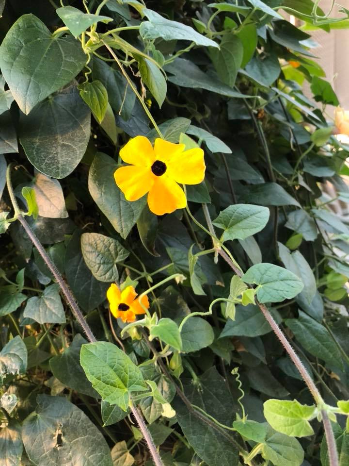 Photo by World's Worst Food Blogger