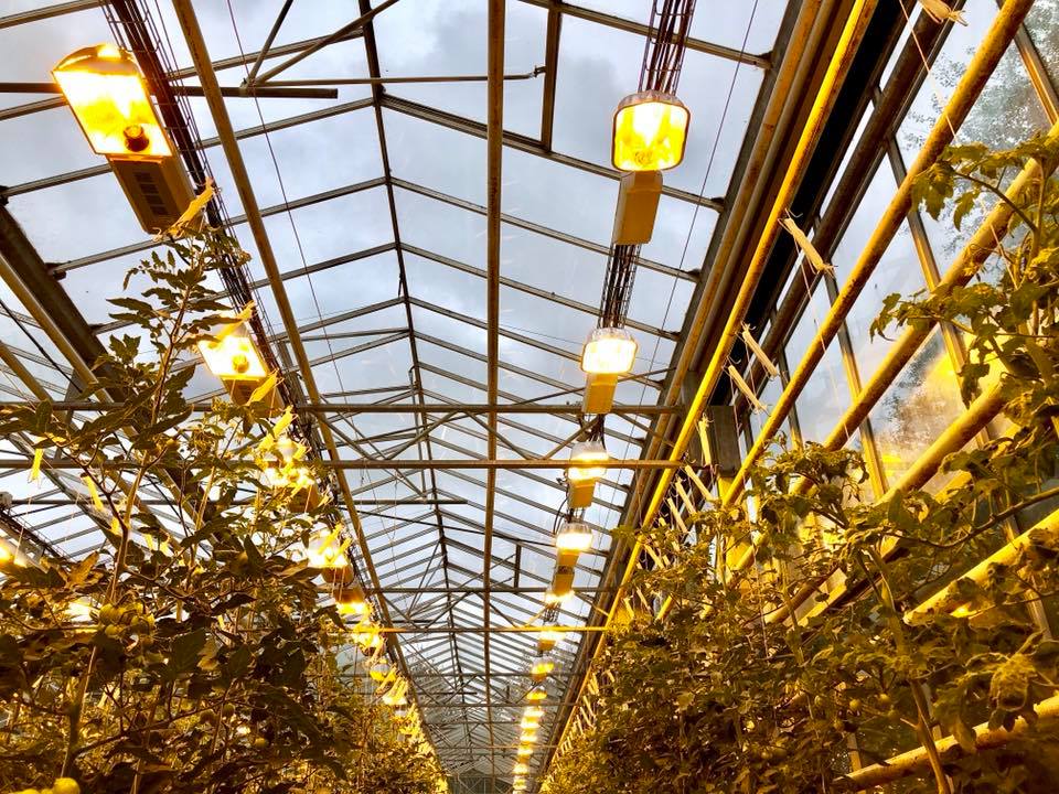 Photo by World's Worst Food Blogger