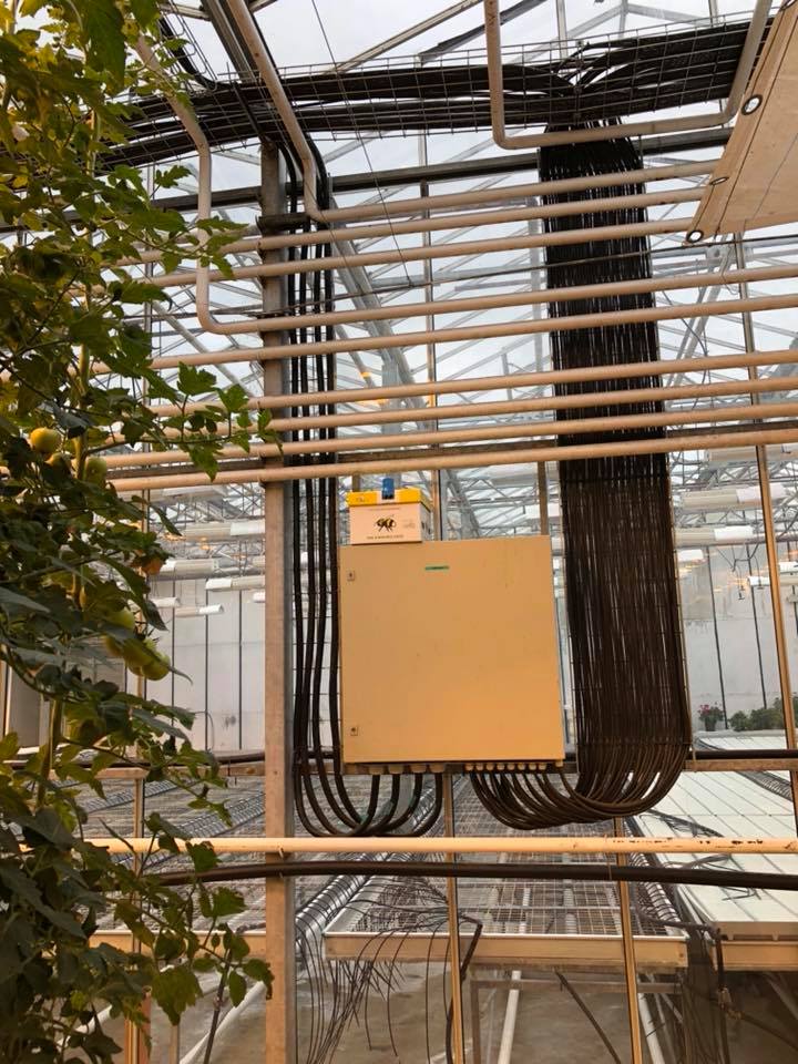 Photo by World's Worst Food Blogger