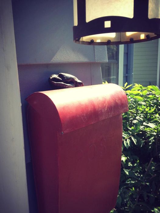 Photo by World&#039;s Worst Food Blogger